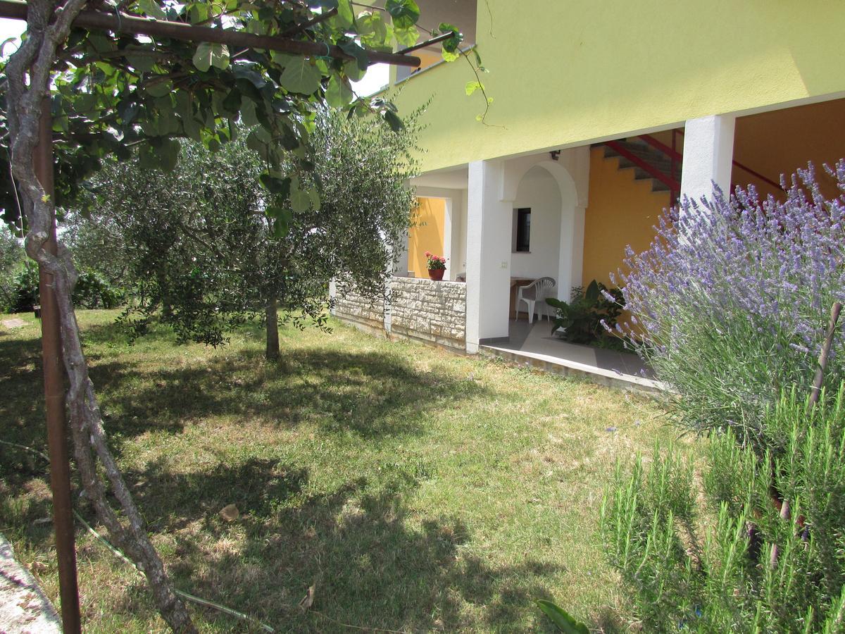Apartments Goga Umag Exterior photo